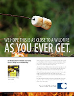 Chubb Insurance print ad wildfire 2