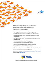 Merchant e-Solutions print ad 2